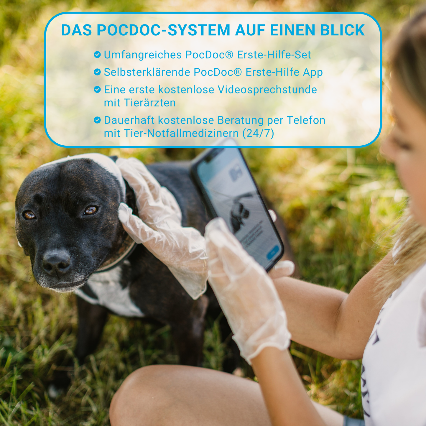 PocDoc® Pet Connect inkl. App + Telemedizin für Hunde & Katzen